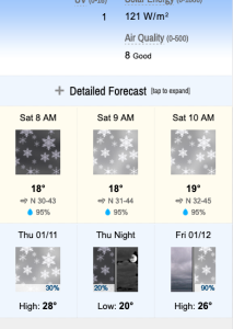 Mobile view of extra forecast fields